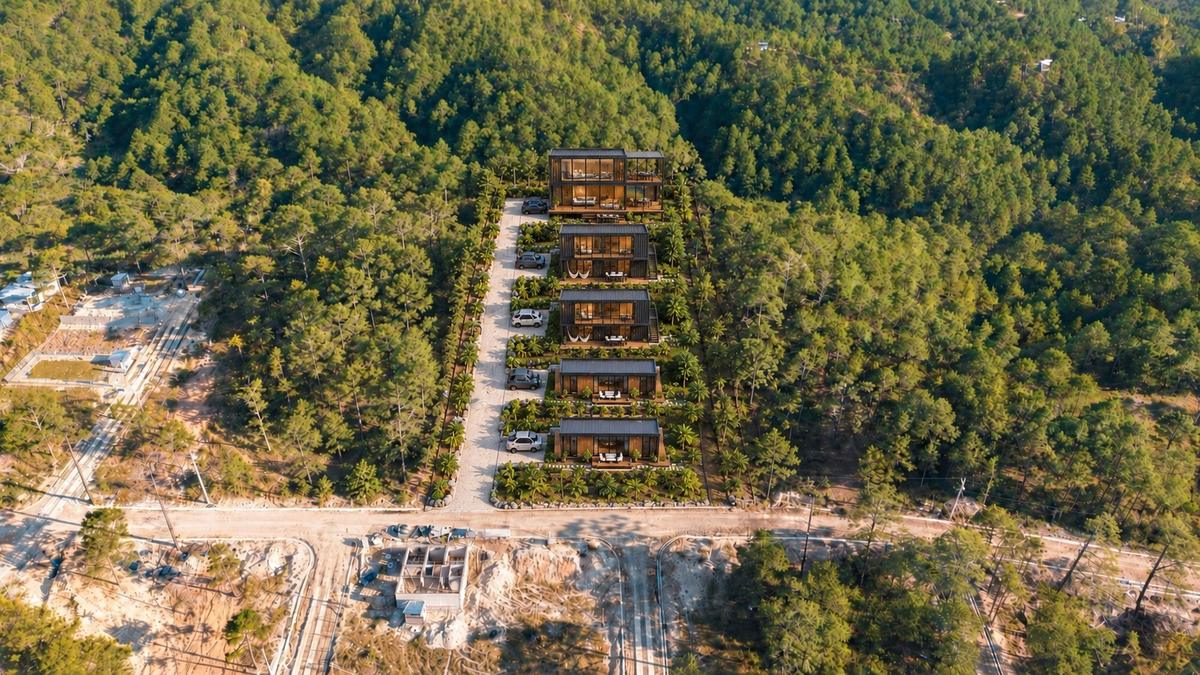 Vista aérea del complejo: cinco cabañas en fila sobre la calle privada, rodeadas de bosque de pino
